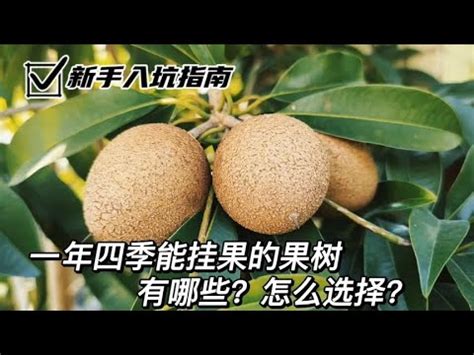 好種的果樹|108種北部適合種的水果樹指南：讓您輕鬆實現果園夢。